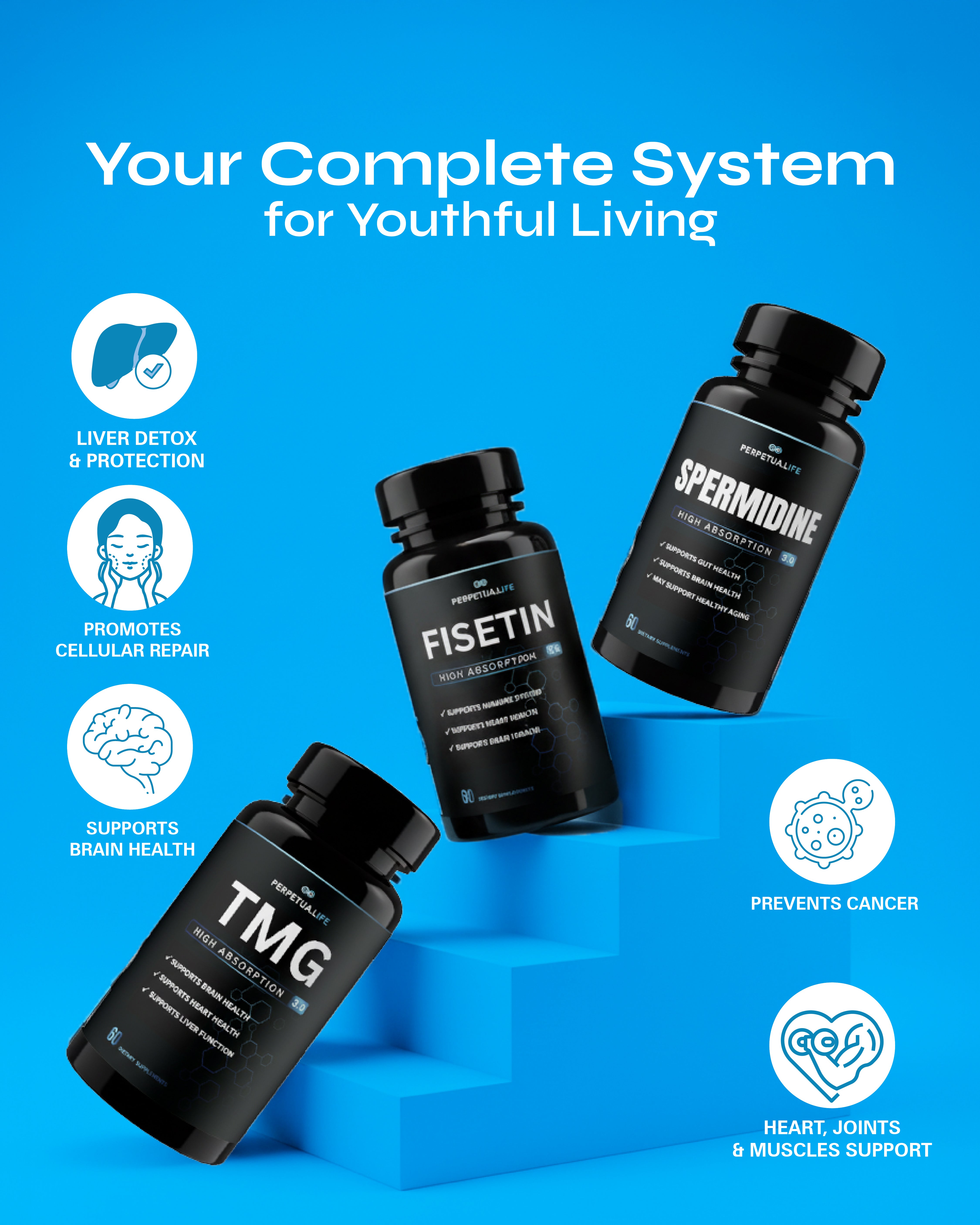 Detox Shield Bundle | TMG + SPERMIDINE + FISETIN