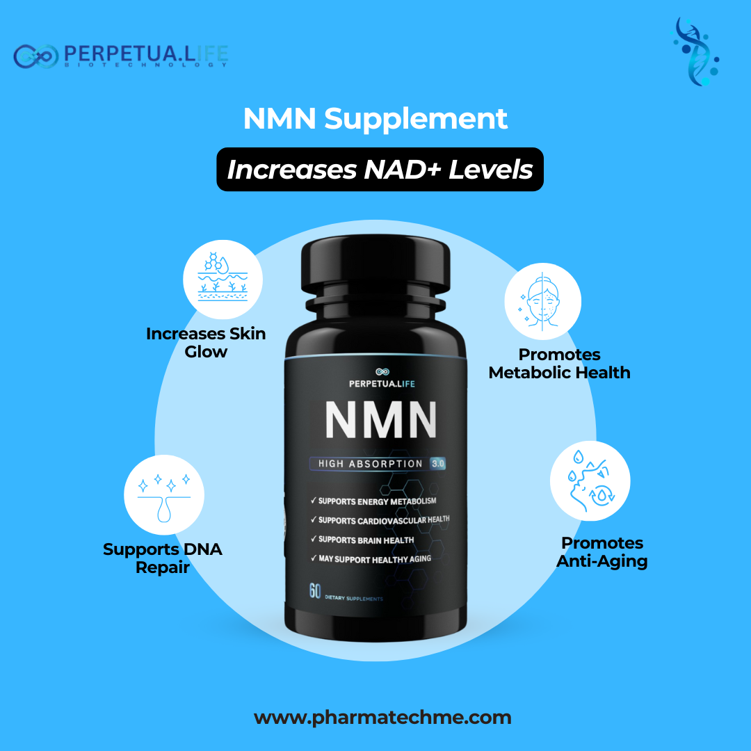 NMN 500mg Capsules – NAD+ Booster