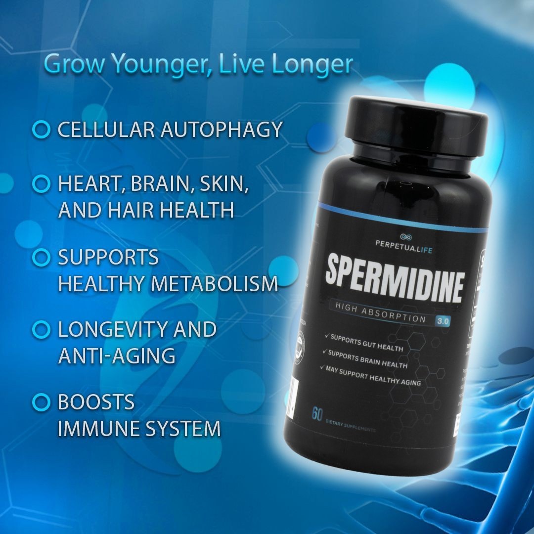 Spermidine 10MG