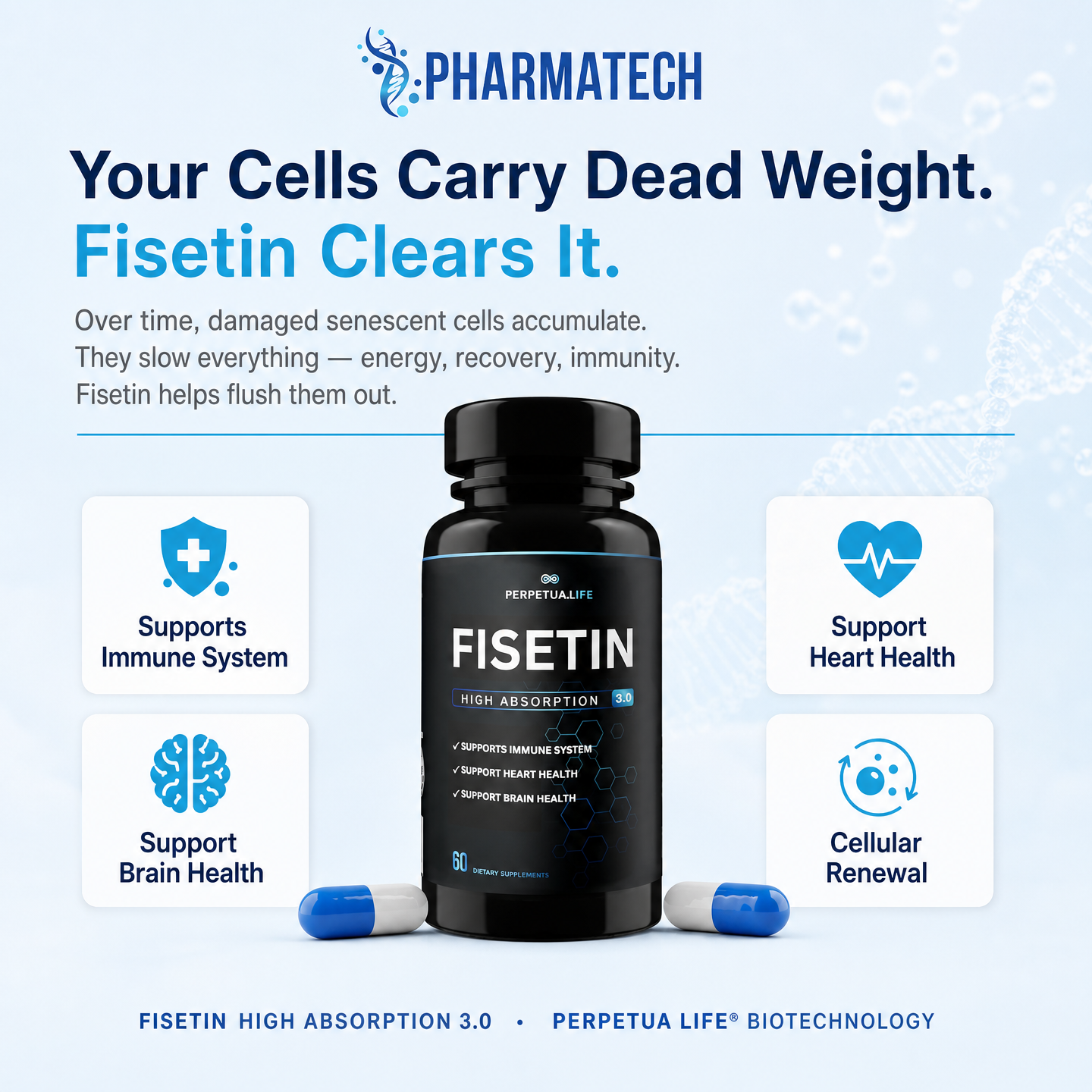Fisetin 100MG