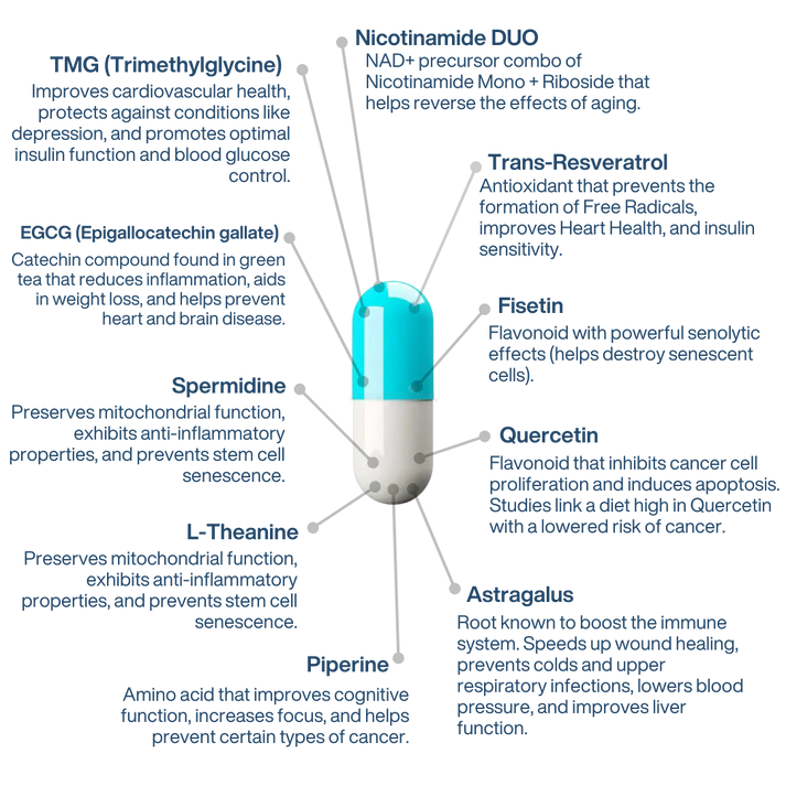 AEON™ NAD+ Longevity Supplement