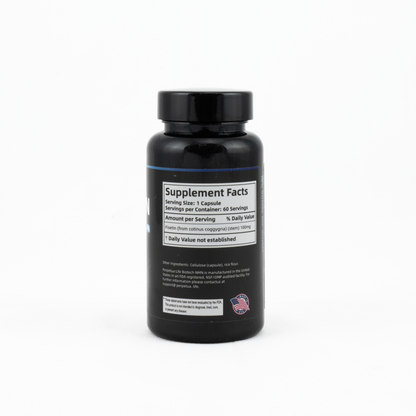 Fisetin 100MG