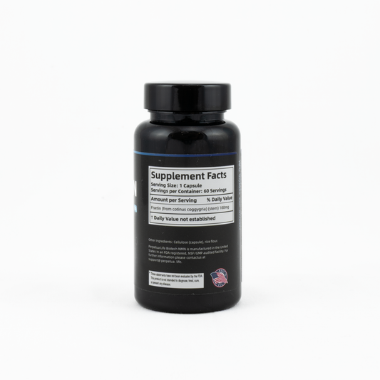 Fisetin 100MG