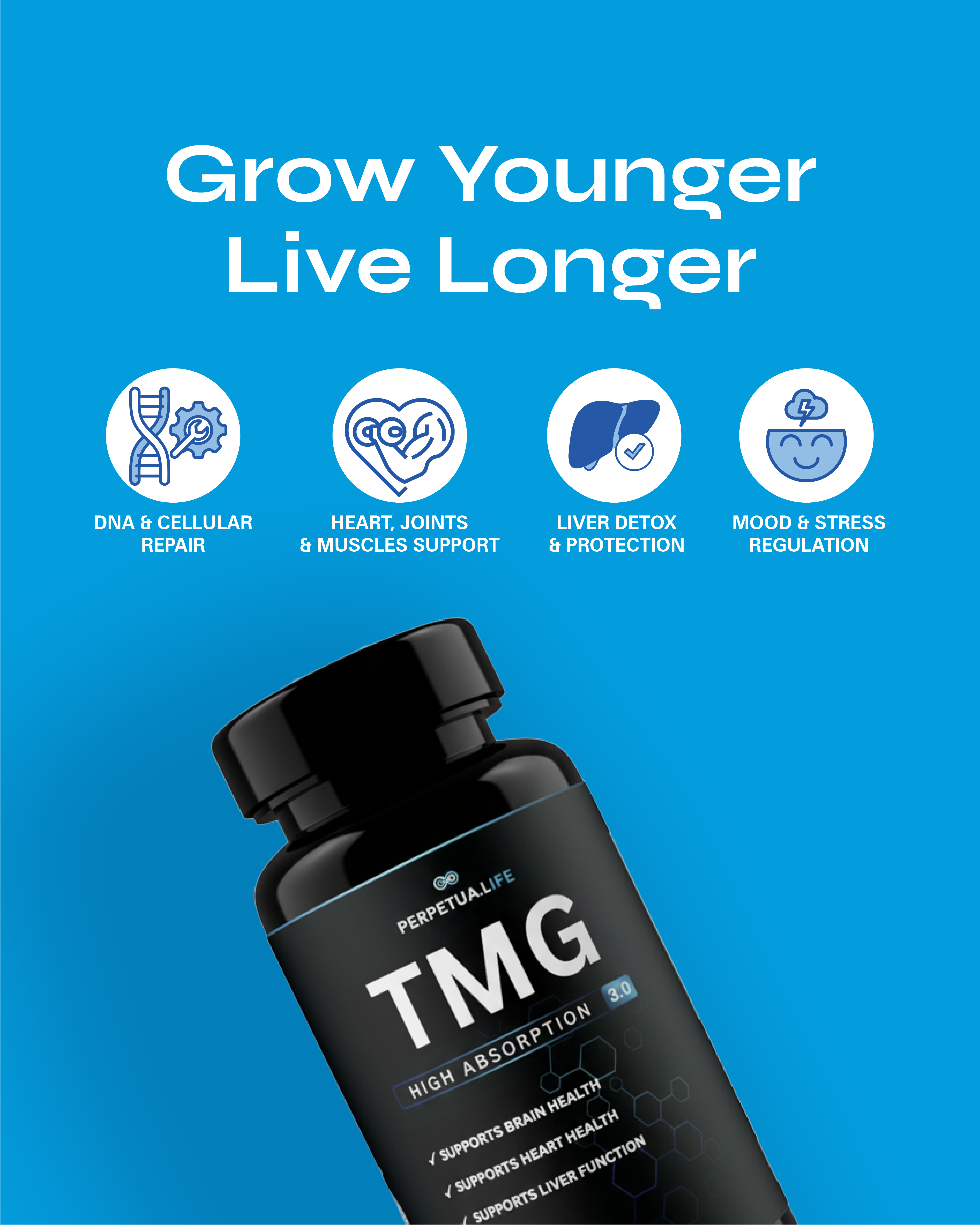 TMG (Trimethylglycine) 500MG