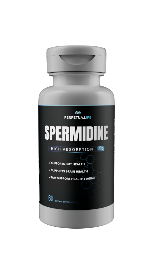 Spermidine