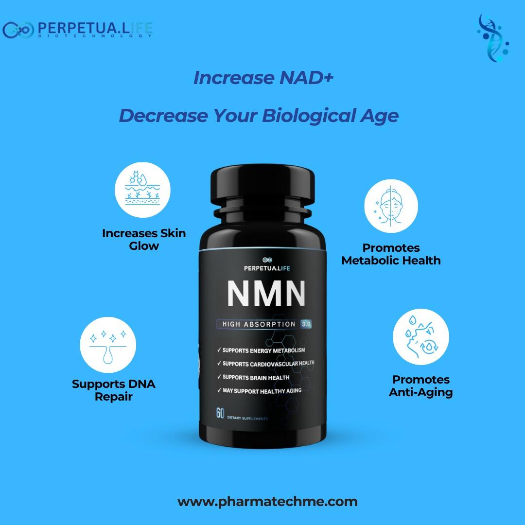 NMN 500MG Capsules – NAD+ Booster