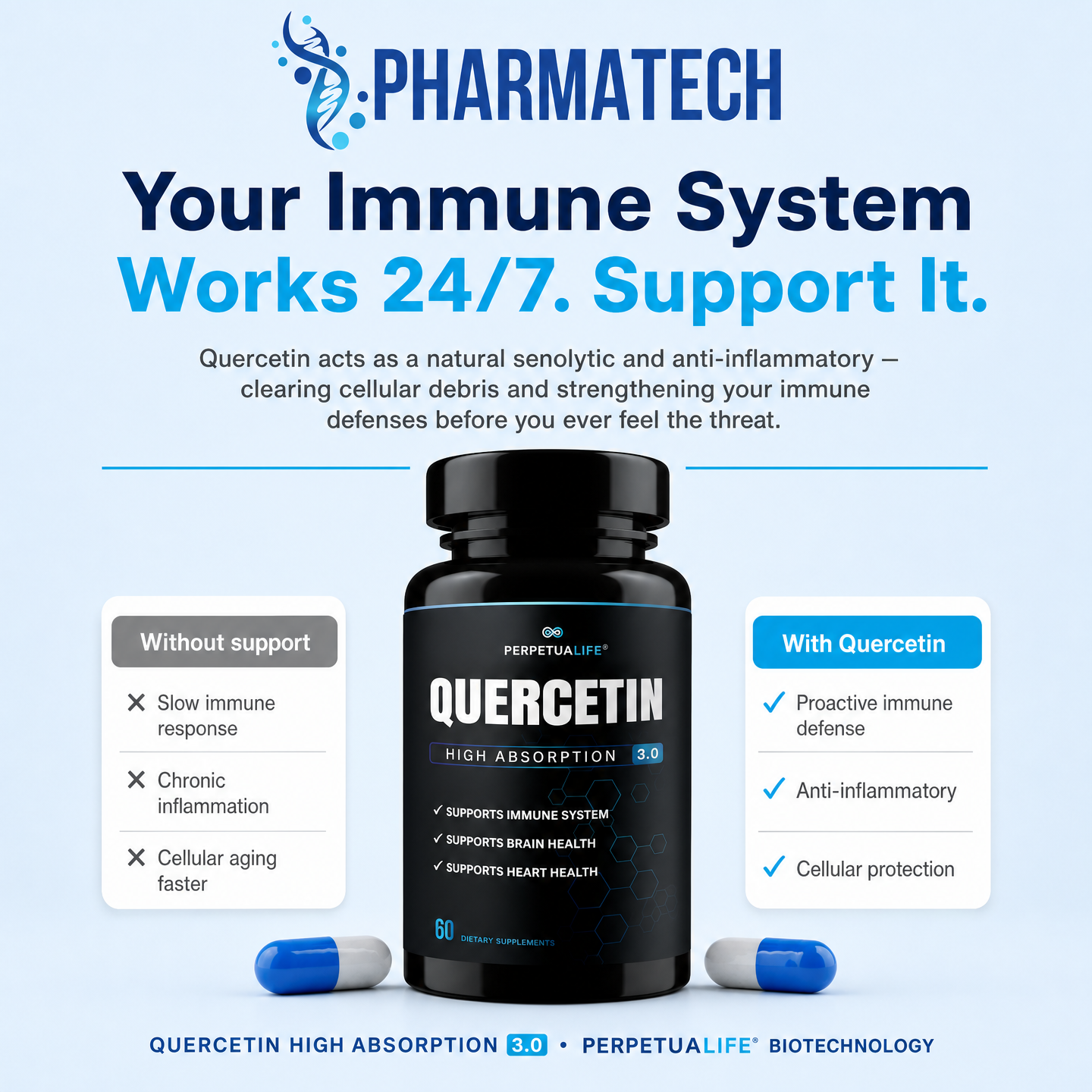 Quercetin 500MG